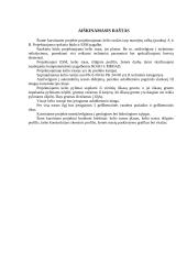 Automobilių kelių projektavimas 2 puslapis