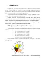 Radijas Vakarų Lietuvos žiniasklaidos rinkoje 13 puslapis