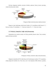 Radijas Vakarų Lietuvos žiniasklaidos rinkoje 18 puslapis