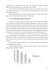 Radijas Vakarų Lietuvos žiniasklaidos rinkoje 19 puslapis