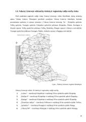 Radijas Vakarų Lietuvos žiniasklaidos rinkoje 10 puslapis