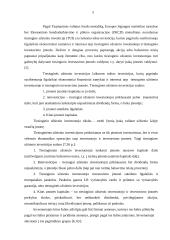 Tiesioginių užsienio investicijų tendencijos Lietuvoje 5 puslapis