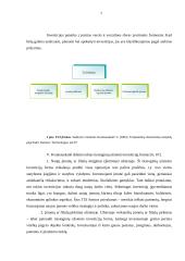 Tiesioginių užsienio investicijų tendencijos Lietuvoje 7 puslapis