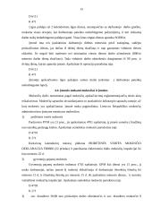 Profesinės veiklos praktikos ataskaita: kelių ir gatvių tiesimas 15 puslapis