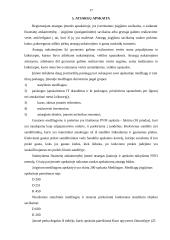 Profesinės veiklos praktikos ataskaita: kelių ir gatvių tiesimas 17 puslapis
