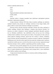 Profesinės veiklos praktikos ataskaita: kelių ir gatvių tiesimas 18 puslapis