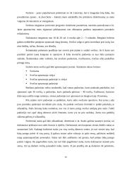 Pobūvių ir banketų rūšys 11 puslapis