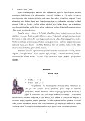 Pobūvių ir banketų rūšys 15 puslapis