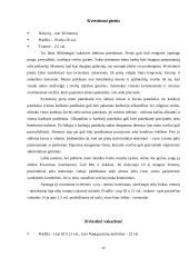 Pobūvių ir banketų rūšys 17 puslapis