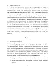 Pobūvių ir banketų rūšys 18 puslapis