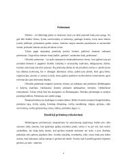 Pobūvių ir banketų rūšys 4 puslapis