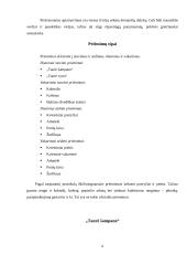 Pobūvių ir banketų rūšys 6 puslapis