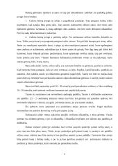 Pobūvių ir banketų rūšys 9 puslapis