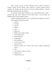 Pobūvių ir banketų rūšys 10 puslapis