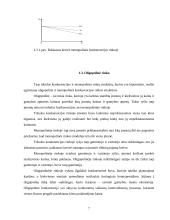 Rinkos struktūros tipų palyginimas 5 puslapis