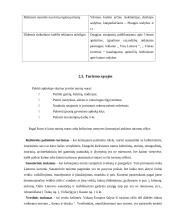 Žemės ūkio ir kaimo plėtra Lietuvoje 14 puslapis