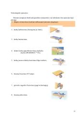 Baldų gamybos cecho projektavimas: UAB "Girių bizonas" 13 puslapis