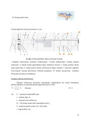 Baldų gamybos cecho projektavimas: UAB "Girių bizonas" 15 puslapis