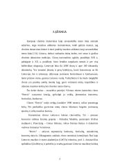 Choro "Brevis" veikla 2 puslapis