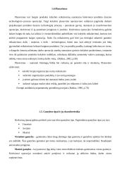 Verslo įmonės UAB ,,Metelita‘‘ gamybos procesai 13 puslapis