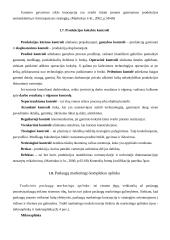 Verslo įmonės UAB ,,Metelita‘‘ gamybos procesai 16 puslapis