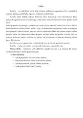 Verslo įmonės UAB ,,Metelita‘‘ gamybos procesai 4 puslapis