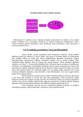 Kurtuvėnų žuvininkystės tvenkiniai 14 puslapis