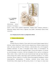 Smegenų skysčio ląstelinės sudėties nustatymas automatizuotu ir rankiniu būdu 11 puslapis