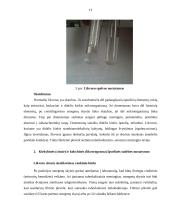 Smegenų skysčio ląstelinės sudėties nustatymas automatizuotu ir rankiniu būdu 13 puslapis