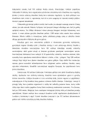 Socialinio draudimo fondo biudžetas: problemos ir perspektyvos 11 puslapis