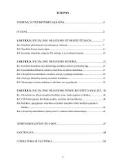 Socialinio draudimo fondo biudžetas: problemos ir perspektyvos 4 puslapis