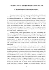 Socialinio draudimo fondo biudžetas: problemos ir perspektyvos 8 puslapis