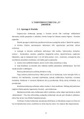 Dalykinis bendravimas: banko organizacija 11 puslapis