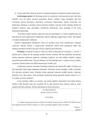 Dalykinis bendravimas: banko organizacija 16 puslapis