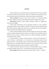 Dalykinis bendravimas: banko organizacija 3 puslapis