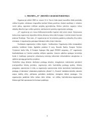 Dalykinis bendravimas: banko organizacija 4 puslapis
