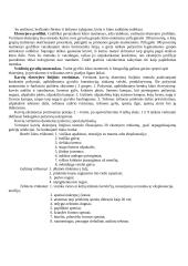 Viskas apie galvijus 13 puslapis
