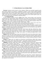 Viskas apie galvijus 5 puslapis