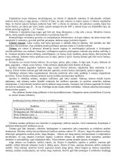 Viskas apie galvijus 6 puslapis
