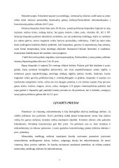 Paršų šėrimas 5 puslapis