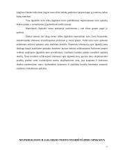 Ilgalaikio turto apskaita 11 puslapis