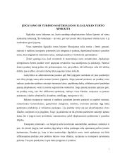 Ilgalaikio turto apskaita 7 puslapis