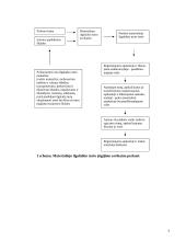 Ilgalaikio turto apskaita 9 puslapis