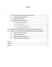 Įmonės veiklos tobulinimo ir kokybės kaštų mažinimo principai 2 puslapis