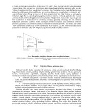 Įmonės veiklos tobulinimo ir kokybės kaštų mažinimo principai 12 puslapis