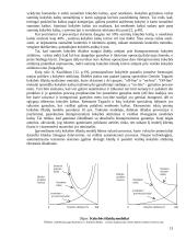 Įmonės veiklos tobulinimo ir kokybės kaštų mažinimo principai 13 puslapis