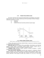 Įmonės veiklos tobulinimo ir kokybės kaštų mažinimo principai 14 puslapis