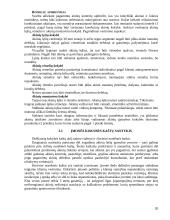 Įmonės veiklos tobulinimo ir kokybės kaštų mažinimo principai 20 puslapis