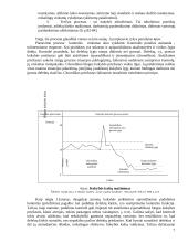 Įmonės veiklos tobulinimo ir kokybės kaštų mažinimo principai 7 puslapis