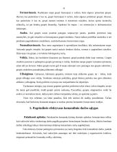 Komandinis darbas, privalumai ir trūkumai 11 puslapis